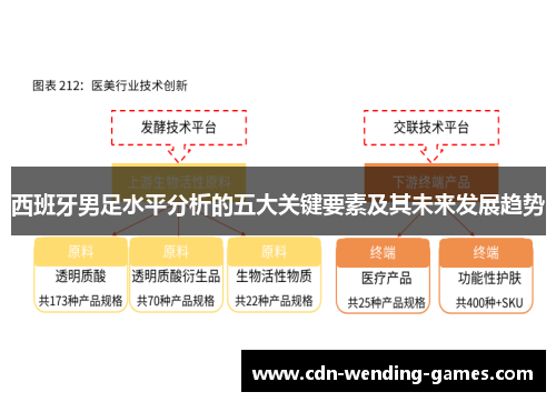 西班牙男足水平分析的五大关键要素及其未来发展趋势