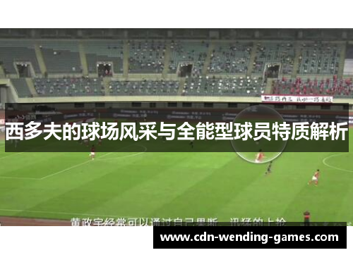 西多夫的球场风采与全能型球员特质解析