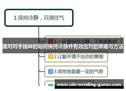 面对对手挑衅时如何保持冷静并有效应对的策略与方法