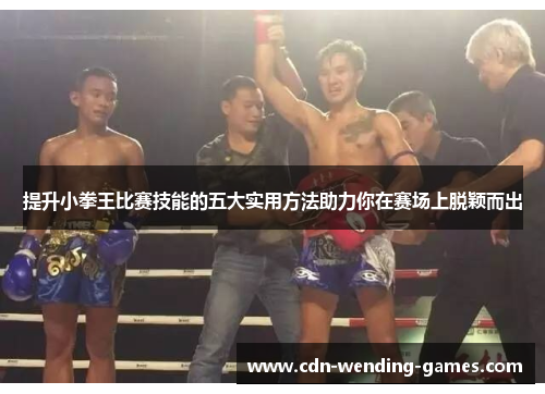 提升小拳王比赛技能的五大实用方法助力你在赛场上脱颖而出