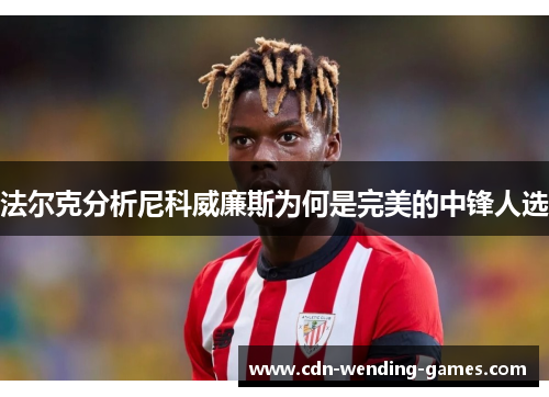 法尔克分析尼科威廉斯为何是完美的中锋人选