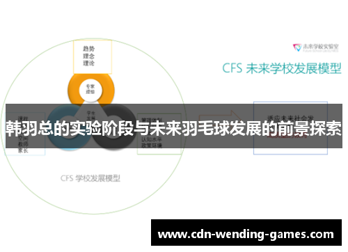 韩羽总的实验阶段与未来羽毛球发展的前景探索 韩羽总的实验阶段与未来羽毛球发展的前景探索