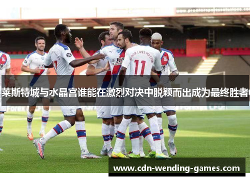 莱斯特城与水晶宫谁能在激烈对决中脱颖而出成为最终胜者