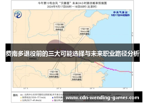 费南多退役前的三大可能选择与未来职业路径分析 费南多退役前的三大可能选择与未来职业路径分析
