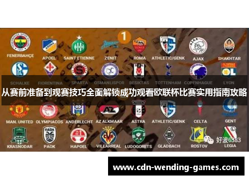 从赛前准备到观赛技巧全面解锁成功观看欧联杯比赛实用指南攻略