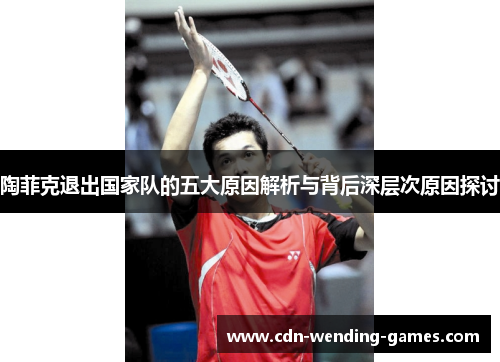 陶菲克退出国家队的五大原因解析与背后深层次原因探讨