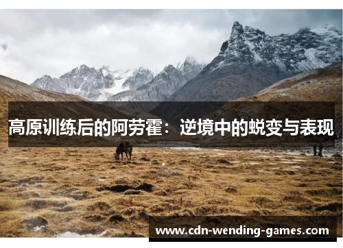 高原训练后的阿劳霍:逆境中的蜕变与表现 高原训练后的阿劳霍:逆境中的蜕变与表现